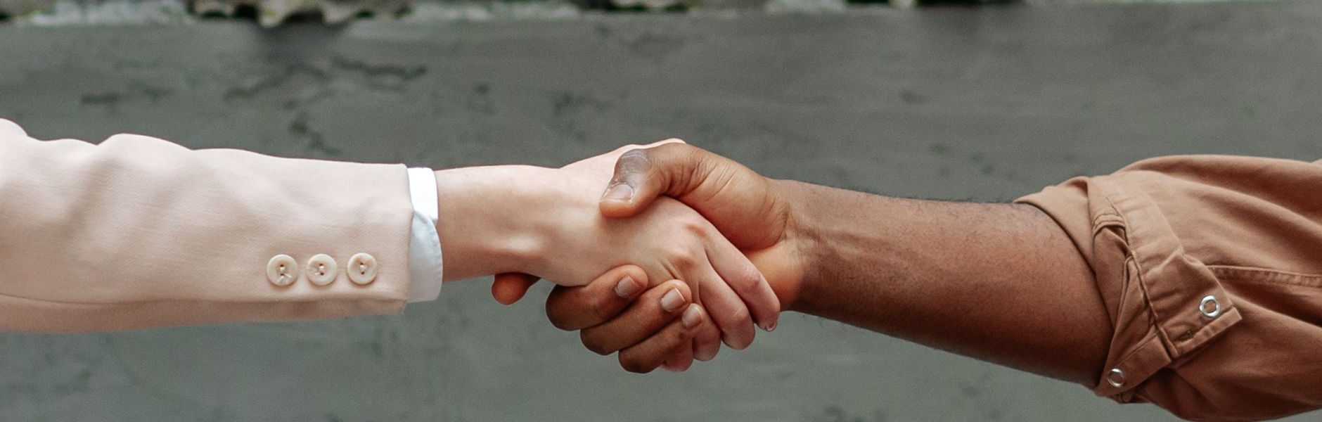 trust creates